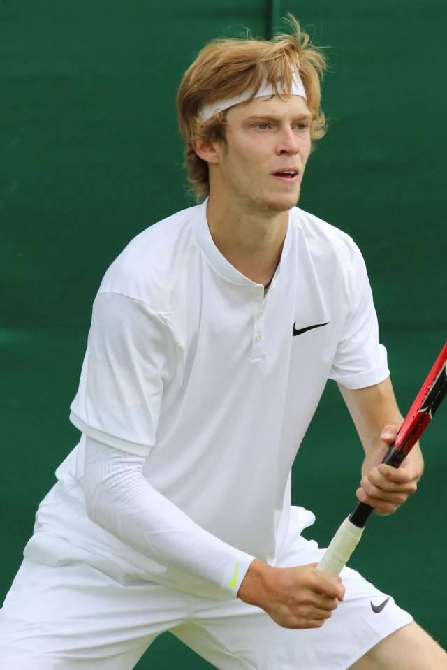 从而巩固了 从而巩固了