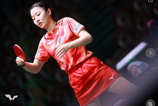 法进行了整 法进行了整