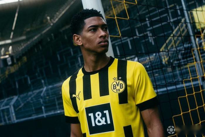 的极化越明 的极化越明